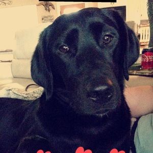 Meet your Posher, Summer